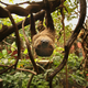I don’t love sloths but I still agree that they need to be left alone. Image: Getty